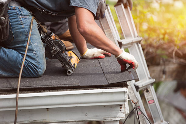Best Best Roofing Contractors  in Hector, MN